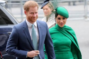 Prince Harry Is Following in Meghan Markle’s Footsteps with a TV Project
