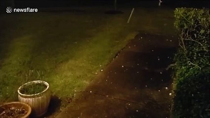 Golf ball-sized hail pelts Dallas