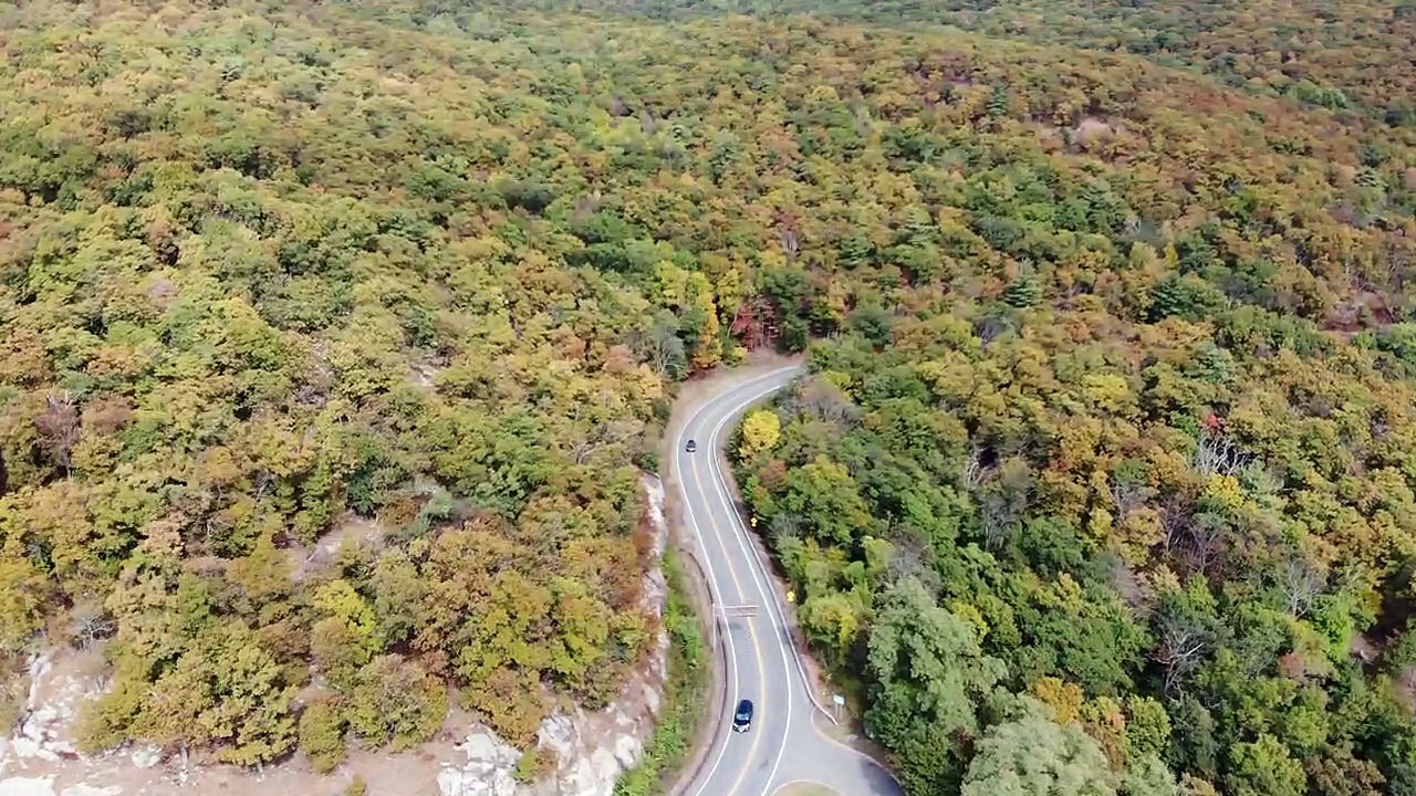 BEAUTIFUL BEAR MOUNTAIN