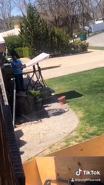 Truck Attempting to Pull Over Old Tree Bursts into Flames