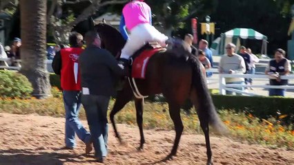 Behind The Gate Documentary movie