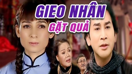 Cải Lương Xưa  Gieo Nhân Gặt Quả - Kim Tử Long Phi Nhung  cải lương hay xã hội