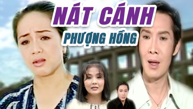 Cải Lương Xưa Nát Cánh Phượng Hồng - Vũ Linh Phương Hồng Thủy cải lương hay xã hội