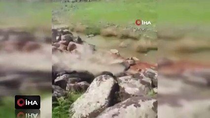 Uçuruma yuvarlanan kepçe operatörünün inanılmaz kurtuluşu