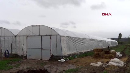 Iğdırlı çiftçiler, koronavirüse rağmen üretimi sürdürüyor