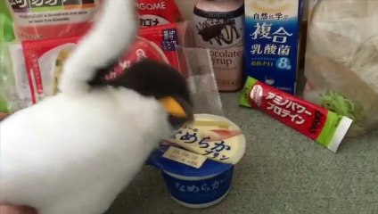 【コンビニ】なめらかプリンに１手間加えるだけで...