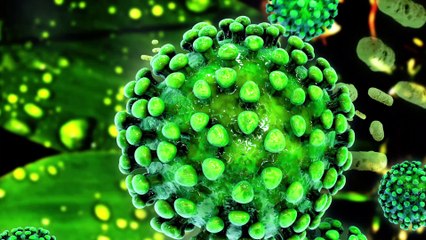 Coronavirus : de nouvelles suspicions d'une forme grave chez les enfants