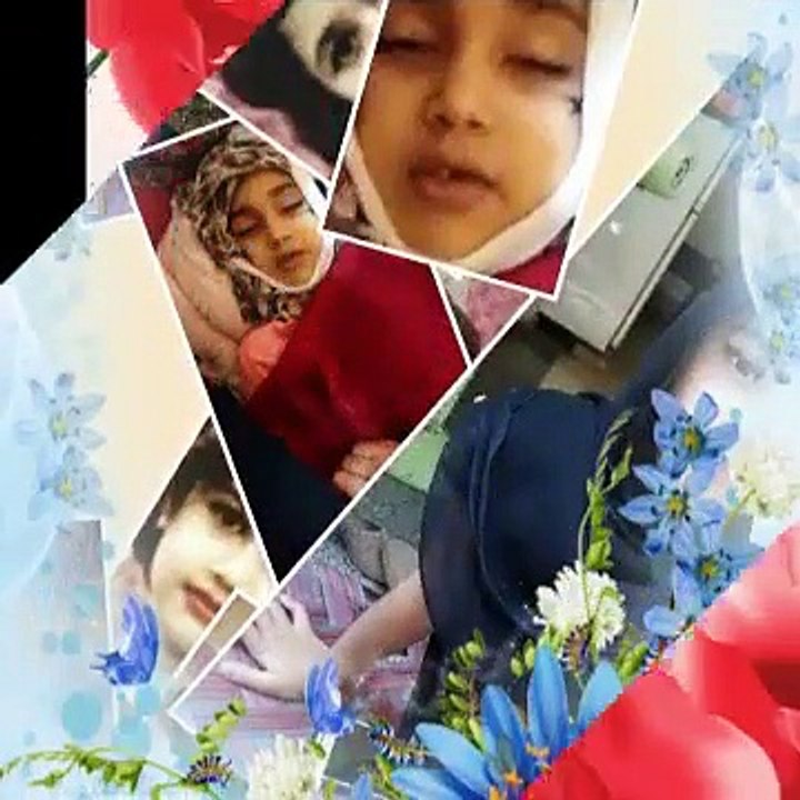 مرگا_سرگولونا_واڑئ_مرگاگولابوناوڑھیسہ_پرواداچا_نکڑئمرگادازموزاڑونا_واڑئ