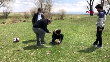 KARS Ermenistan sınırında ölü bulunan şahinlere inceleme