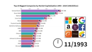 Top 15 Biggest Companies by Market Capitalization 1993 - 2020