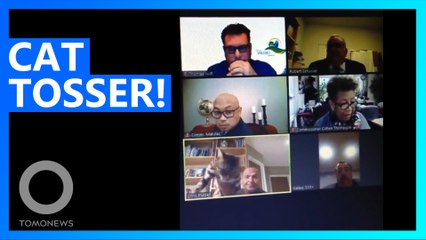 Politician Quits After Tossing His Cat in Zoom Meeting