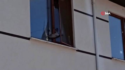 Pencereye sıkışan güvercin ekipleri harekete geçirdi