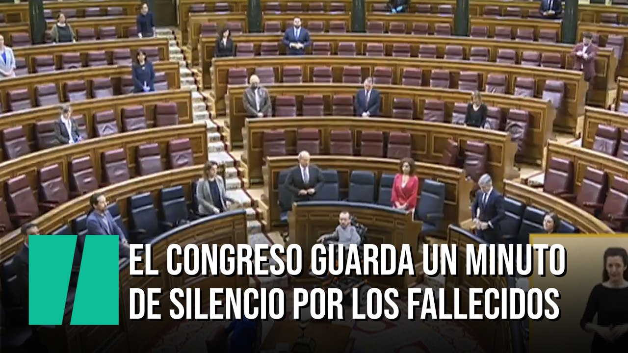 El Congreso guarda un minuto de silencio en recuerdo de los fallecidos por la Covid19