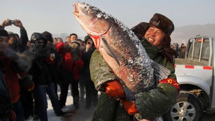 Videos of Chinese brothers ice-fishing in extreme cold draw one million viewers online