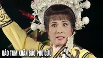 Trích Đoạn Cải Lương  Đào Tam Xuân Báo Phu Cừu - Phượng Mai