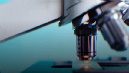 Plus de 30 souches différentes du Covid-19 seraient actuellement en circulation