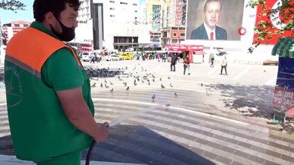 Sıcaktan bunalan güvercinlere her gün böyle banyo yaptırıyor