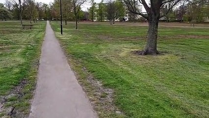 Harrogate Stray without fencing