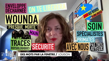 Des mots par la fenêtre : Louison - Clique - CANAL+