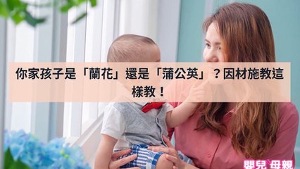 adGeek_mababy_collection_desktop_sidebar-copy1-20200429-17:08