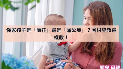 adGeek_mababy_collection_mobile_bottom-copy1-20200429-17:08