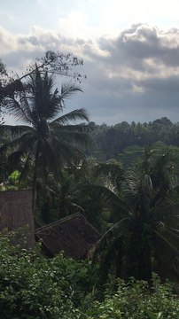 Ubud Bali 2 | Anthony S Casey Singapore