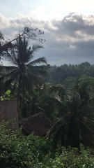 Ubud Bali 2 | Anthony S Casey Singapore