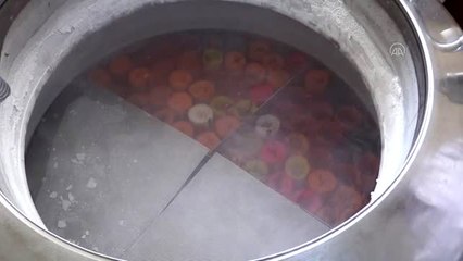 Sultansuyu'nun damızlık boğaları işletmeye para kazandırıyor