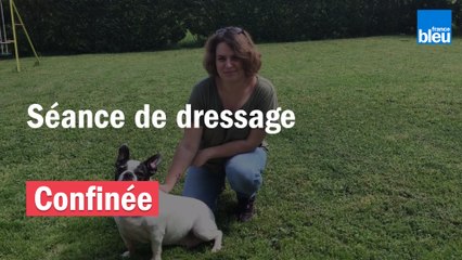 Jour 48, j'essaye de dresser mon chien !