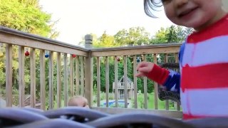 Funny Babies Outdoor Moments