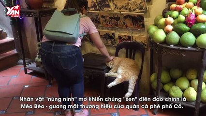 : Chỉ nằm cũng hút khách phố cổ