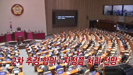 [YTN 실시간뉴스] 여야 2차 추경 합의...자정쯤 처리 전망 / YTN