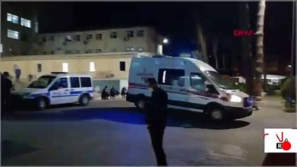 Manisa'da "zeytin fidesini kırdın" kavgası: Ölü ve yaralılar var