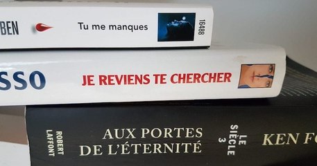« Tranches poétiques », le challenge qui propose aux internautes d'empiler les livres pour créer des poèmes