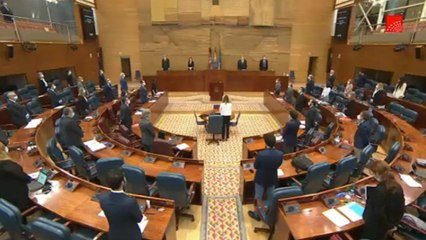 La Asamblea de Madrid guarda un minuto de silencio por las víctimas