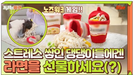 스트레스 쌓인 댕댕이들에게... 라면 선물!?
