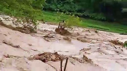 Người đàn ông mắc kẹt trên cây vì mưa lũ