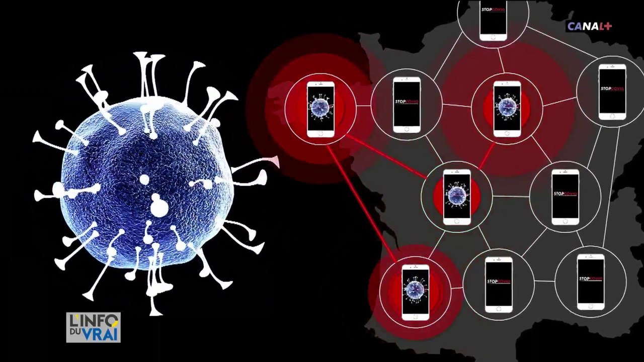 Des brigades sanitaires sont mises en place pour couper les chaînes de contamination du virus