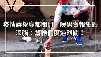 petmao_nownews-copy3-20200429-20:28