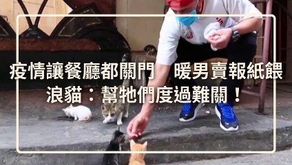 petsmao.nownews-copy2-20200429-20:26