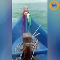 Des dauphins roses jouent avec un pêcheur en Thaïlande