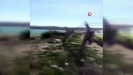 Konya'da baraj gölüne izinsiz balık bırakan kişiye 10 bin lira ceza