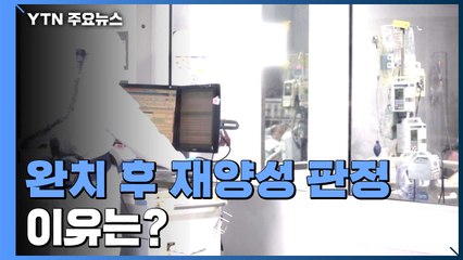"코로나19 재양성, 죽은 바이러스 검출 때문"..."재감염 가능성 낮아" / YTN