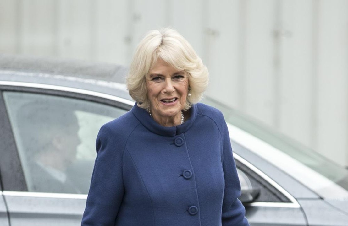 Duchess Camilla's ballet lessons