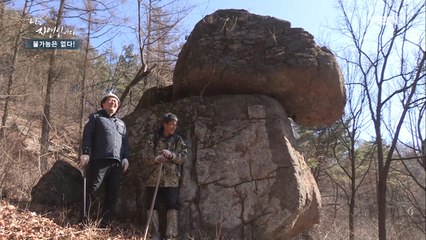 샴(?) 청소하다 발견한 수수께끼 같은 거대 바위!