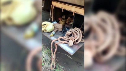 Furto de baterias: Bairro Parque São Paulo é novamente alvo de criminoso