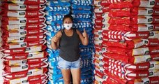 Une entreprise péruvienne fait don de 15 tonnes de nourriture à 2500 animaux sans abris