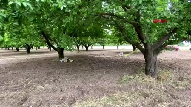 MANİSA Babasını kurusıkı tabancayla yaraladı