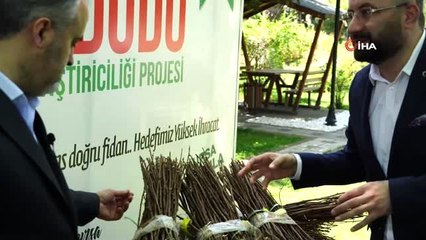 125 bin ahududu fidanı üreticiyle buluştu