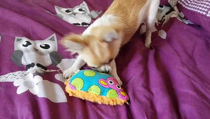 Bêêê fait le mouton de Phandor